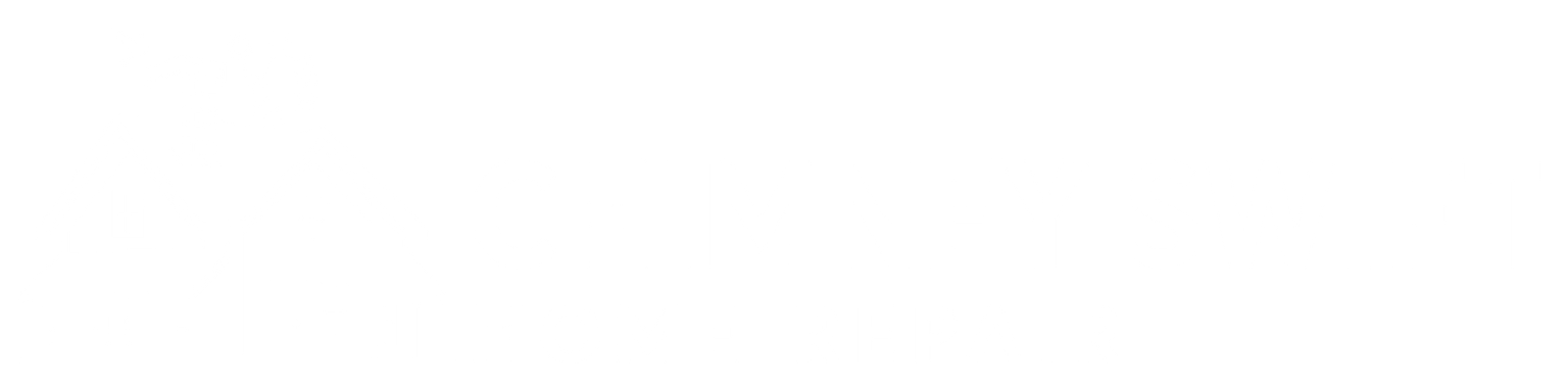 Chimney Swift Logo
